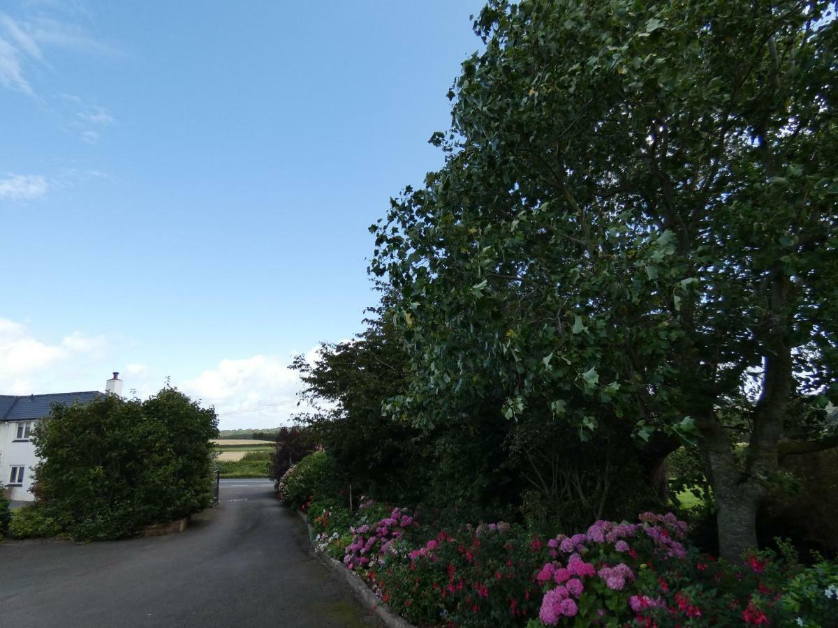 Bed and Breakfast Bournestream à Withycombe Extérieur photo